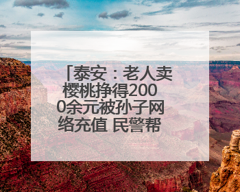 泰安：老人卖樱桃挣得2000余元被孙子网络充值 民警帮忙联系退回