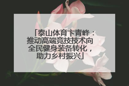 泰山体育卞青峰：推动高端竞技技术向全民健身装备转化，助力乡村振兴