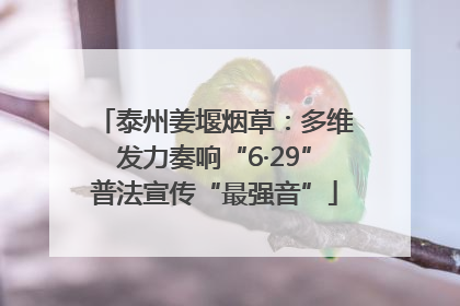 泰州姜堰烟草：多维发力奏响“6·29”普法宣传“最强音”