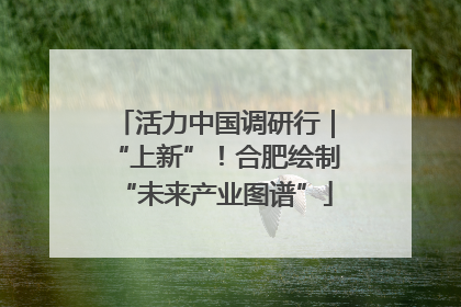 活力中国调研行｜“上新”！合肥绘制“未来产业图谱”