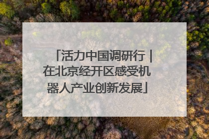 活力中国调研行｜在北京经开区感受机器人产业创新发展
