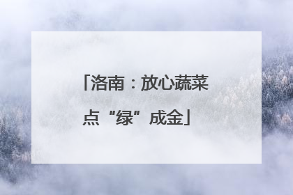 洛南：放心蔬菜点“绿”成金