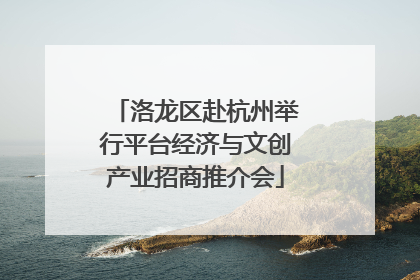洛龙区赴杭州举行平台经济与文创产业招商推介会