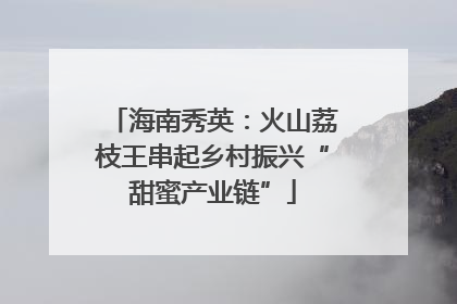海南秀英：火山荔枝王串起乡村振兴“甜蜜产业链”
