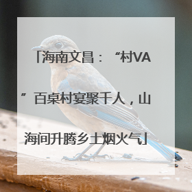 海南文昌：“村VA”百桌村宴聚千人，山海间升腾乡土烟火气