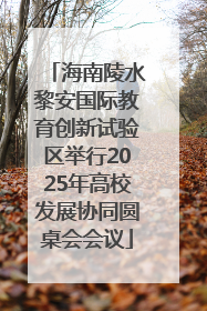 海南陵水黎安国际教育创新试验区举行2025年高校发展协同圆桌会会议