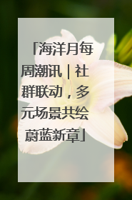 海洋月每周潮讯｜社群联动，多元场景共绘蔚蓝新章