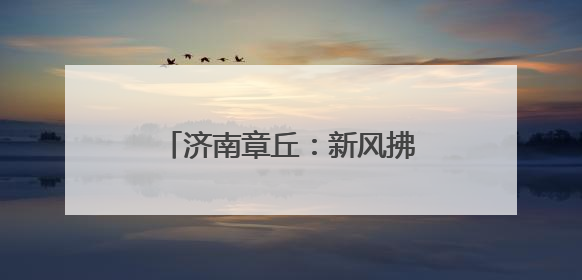 济南章丘：新风拂沃野 乡村展画卷