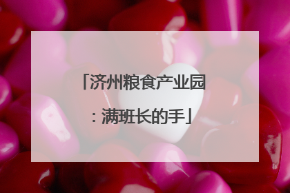 济州粮食产业园：满班长的手