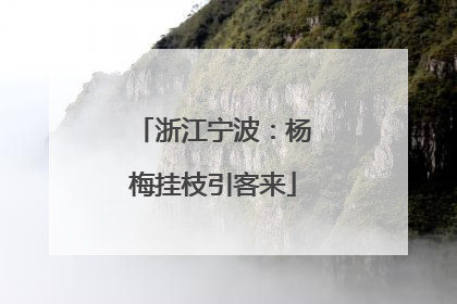 浙江宁波：杨梅挂枝引客来