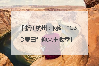 浙江杭州：网红“CBD麦田”迎来丰收季