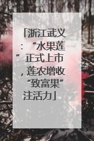 浙江武义：“水果莲”正式上市，莲农增收“致富果”注活力