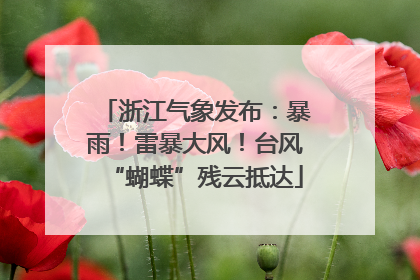 浙江气象发布：暴雨！雷暴大风！台风“蝴蝶”残云抵达