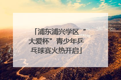 浦东浦兴学区“大爱杯”青少年乒乓球赛火热开启