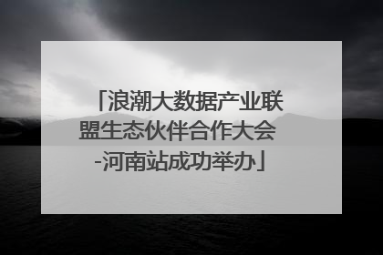 浪潮大数据产业联盟生态伙伴合作大会-河南站成功举办