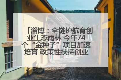淄博：全链护航育创业生态雨林 今年74个“金种子”项目加速培育 政策性扶持创业9754人