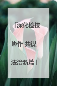 深化检校协作 共谋法治新篇