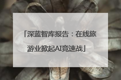 深蓝智库报告：在线旅游业掀起AI竞速战