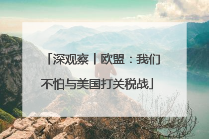 深观察丨欧盟：我们不怕与美国打关税战