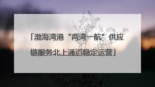渤海湾港“两湾一航”供应链服务北上通道稳定运营