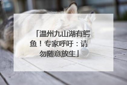 温州九山湖有鳄鱼！专家呼吁：请勿随意放生
