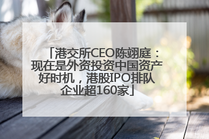 港交所CEO陈翊庭：现在是外资投资中国资产好时机，港股IPO排队企业超160家