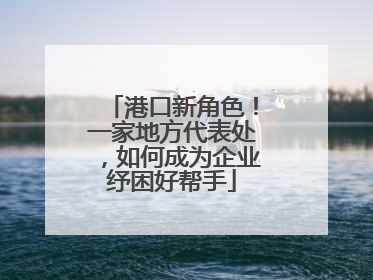 港口新角色！一家地方代表处，如何成为企业纾困好帮手