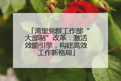 湾里党群工作部“大部制”改革：激活效能引擎，构建高效工作新格局