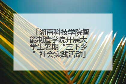 湖南科技学院智能制造学院开展大学生暑期“三下乡”社会实践活动