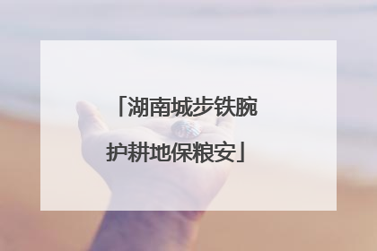 湖南城步铁腕护耕地保粮安