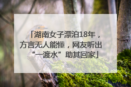 湖南女子漂泊18年，方言无人能懂，网友听出“一渡水”助其回家