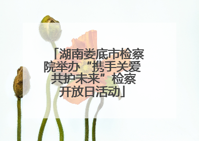 湖南娄底市检察院举办“携手关爱 共护未来”检察开放日活动