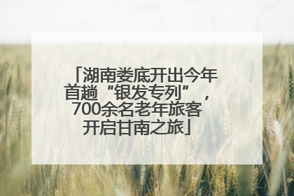 湖南娄底开出今年首趟“银发专列”，700余名老年旅客开启甘南之旅