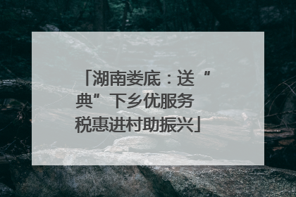湖南娄底：送“典”下乡优服务 税惠进村助振兴