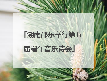 湖南邵东举行第五届端午音乐诗会