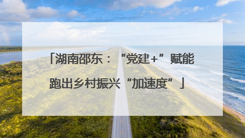 湖南邵东：“党建+”赋能 跑出乡村振兴“加速度”