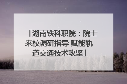 湖南铁科职院：院士来校调研指导 赋能轨道交通技术攻坚