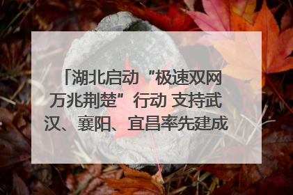 湖北启动“极速双网 万兆荆楚”行动 支持武汉、襄阳、宜昌率先建成“万兆先锋城市”