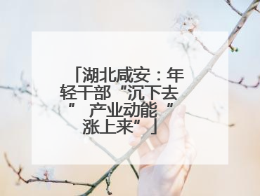 湖北咸安：年轻干部“沉下去” 产业动能“涨上来”