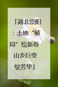 湖北崇阳：土地“破局”绘新卷 山乡巨变绽芳华