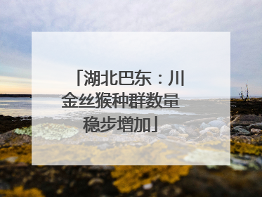 湖北巴东：川金丝猴种群数量稳步增加