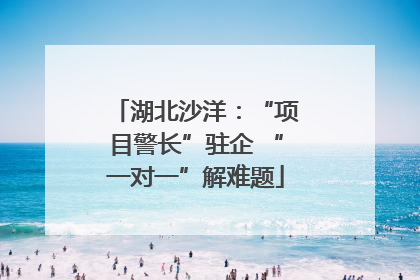 湖北沙洋：“项目警长”驻企 “一对一”解难题