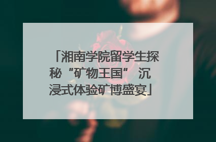 湘南学院留学生探秘“矿物王国” 沉浸式体验矿博盛宴