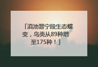 滇池晋宁段生态蝶变，鸟类从89种增至175种！