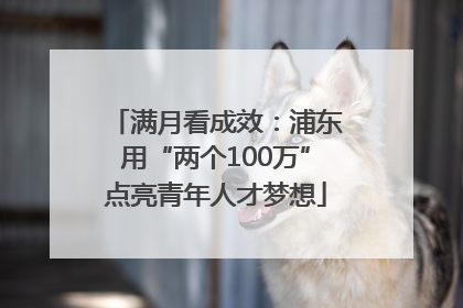 满月看成效：浦东用“两个100万”点亮青年人才梦想