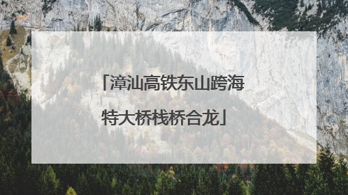 漳汕高铁东山跨海特大桥栈桥合龙