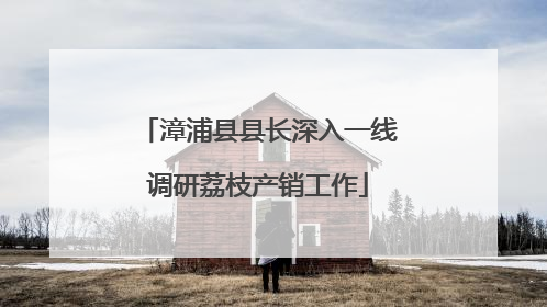 漳浦县县长深入一线调研荔枝产销工作