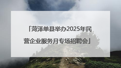 菏泽单县举办2025年民营企业服务月专场招聘会