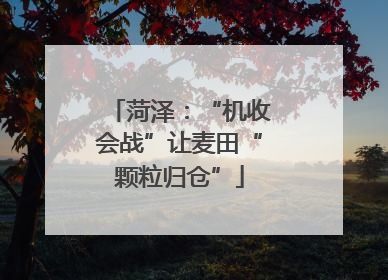 菏泽：“机收会战”让麦田“颗粒归仓”