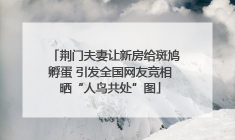 荆门夫妻让新房给斑鸠孵蛋 引发全国网友竞相晒“人鸟共处”图
